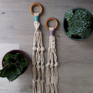 simple plant hanger kit