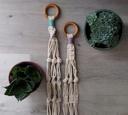simple plant hanger kit