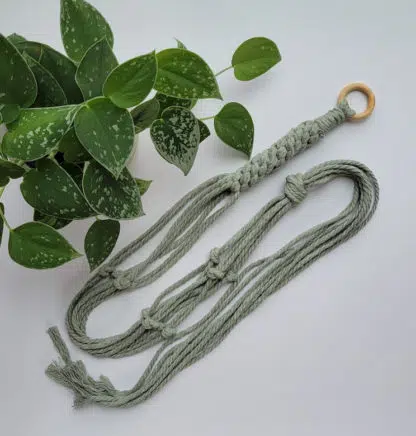 Macrame crown knot plant hanger in 4mm sage recycled cotton rope